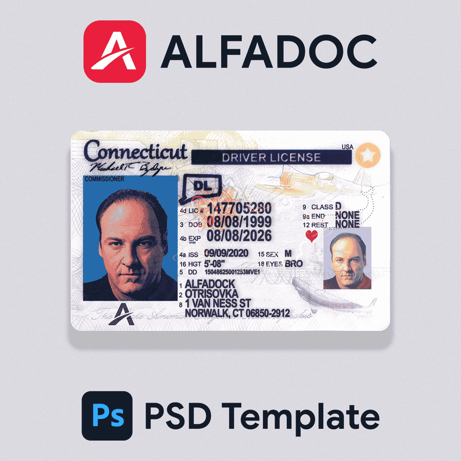 United States - Connecticut DL Card 2017+ PSD Template