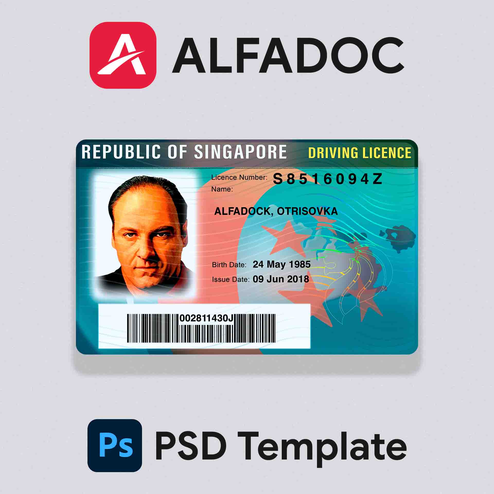 Singapore  DL Card PSD Template