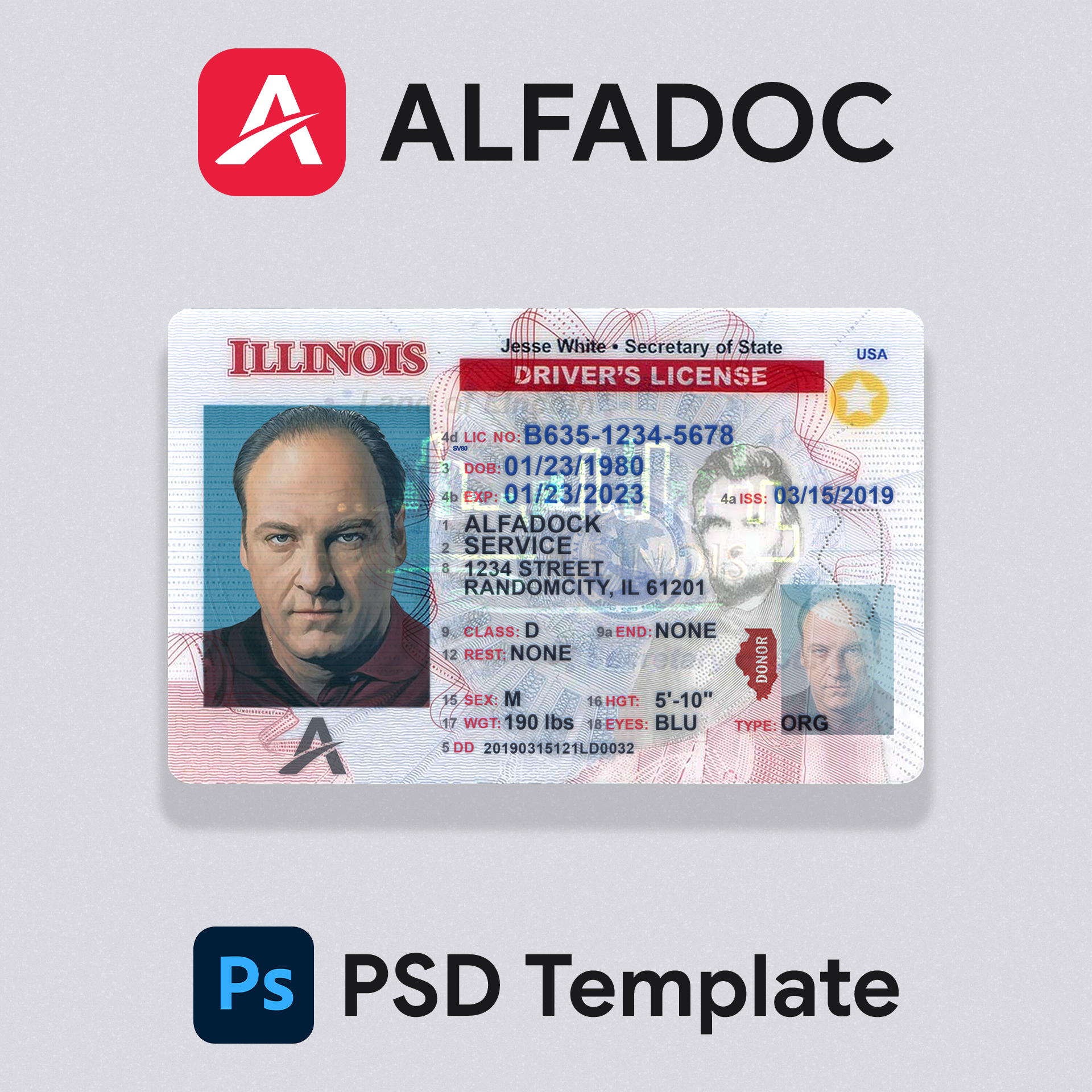 USA Illinois DL Card