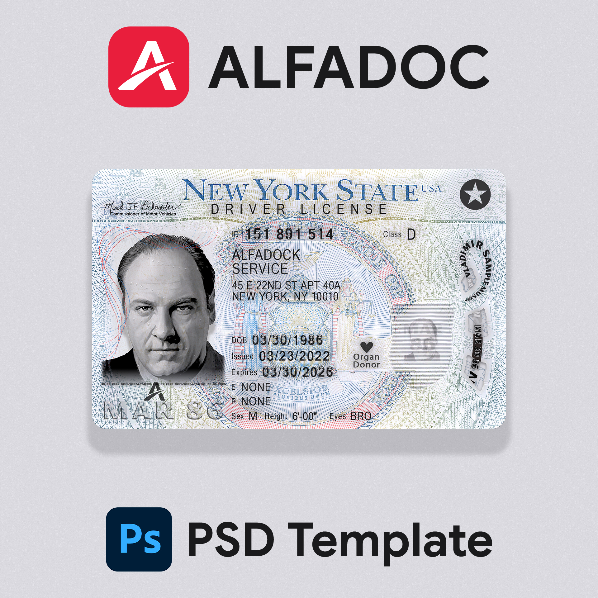 USA New York DL Card NEW