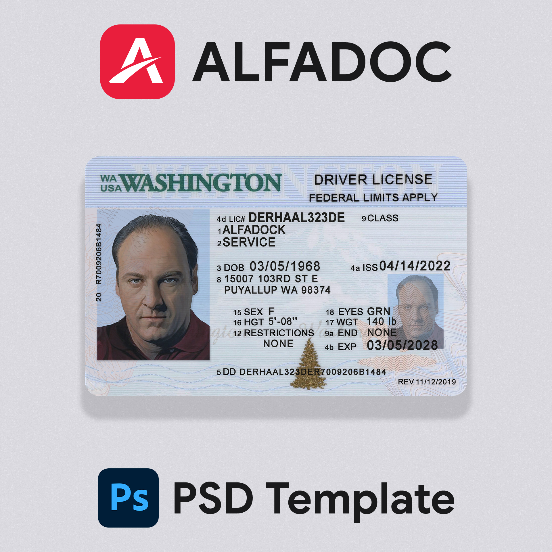 United States - Washington DL Card  PSD Template