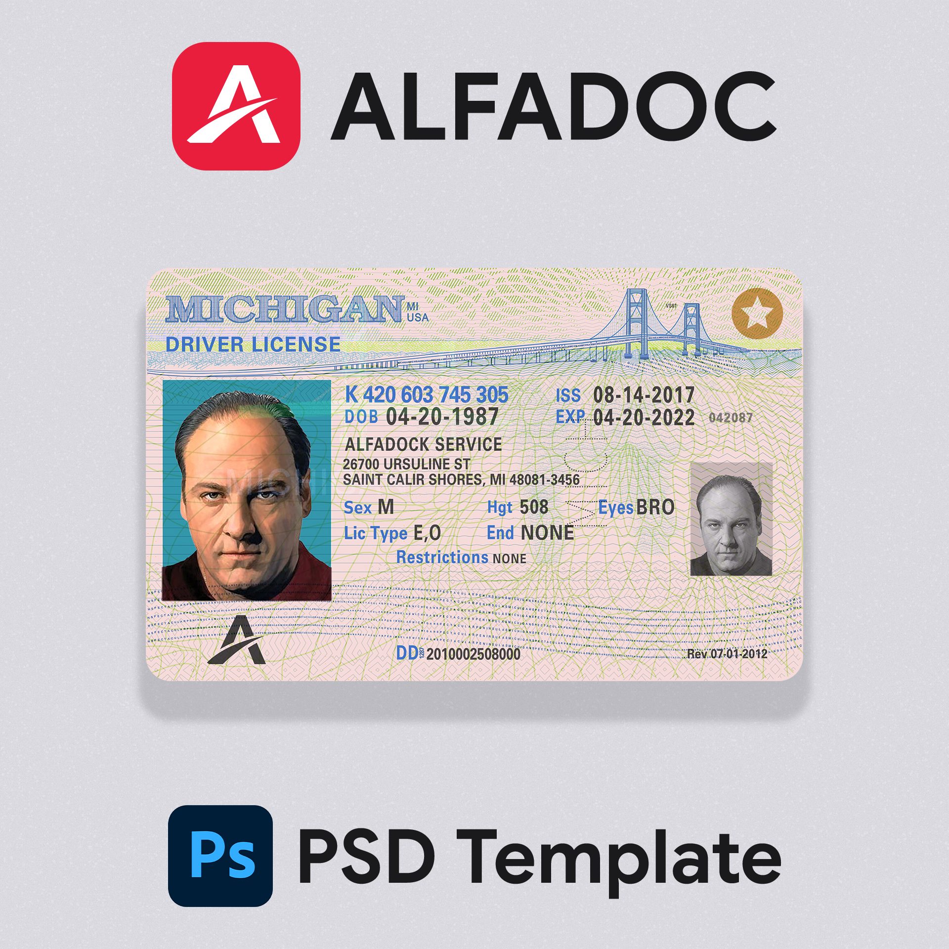 USA Michigan DL Card