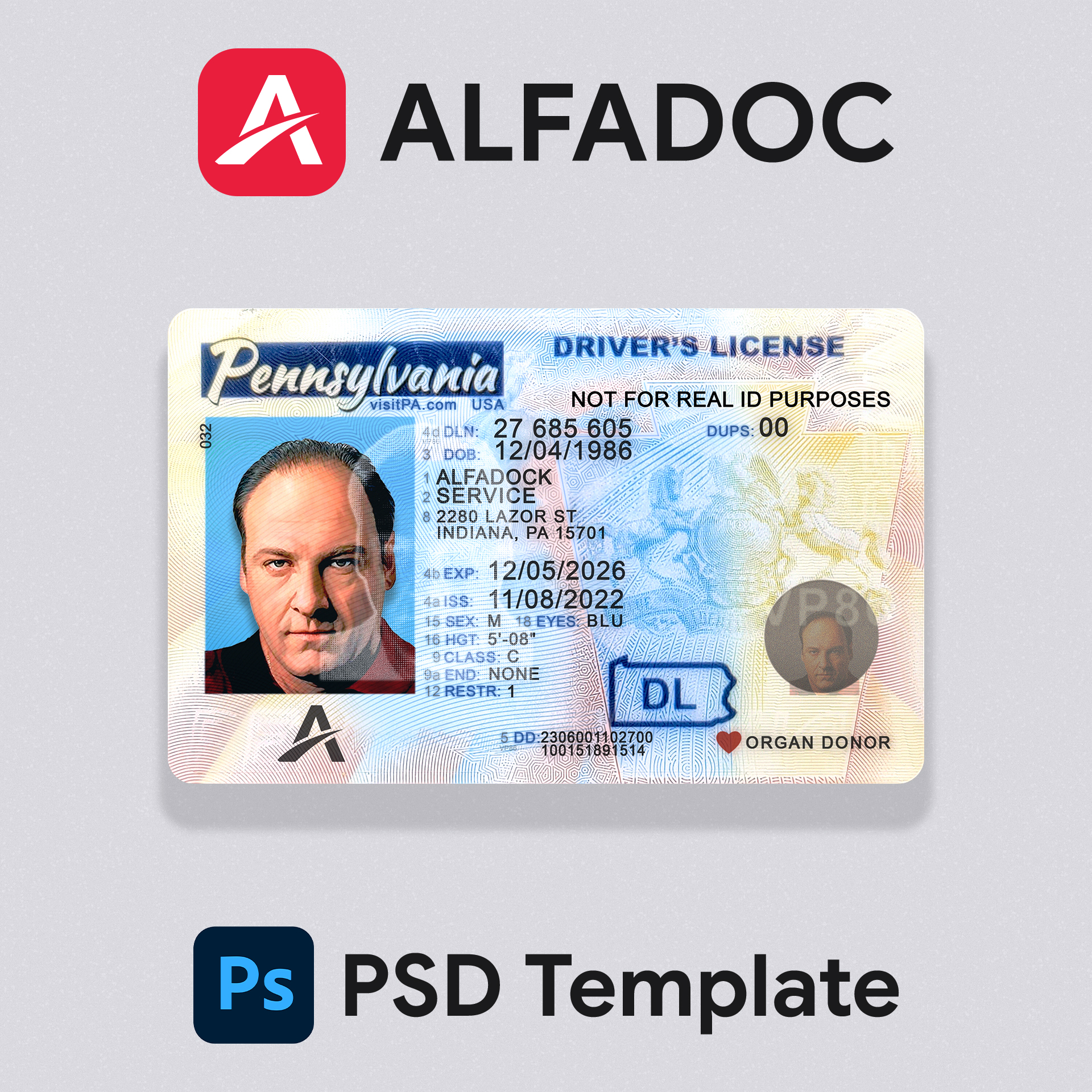 United States - Pennsylvania DL Card  PSD Template