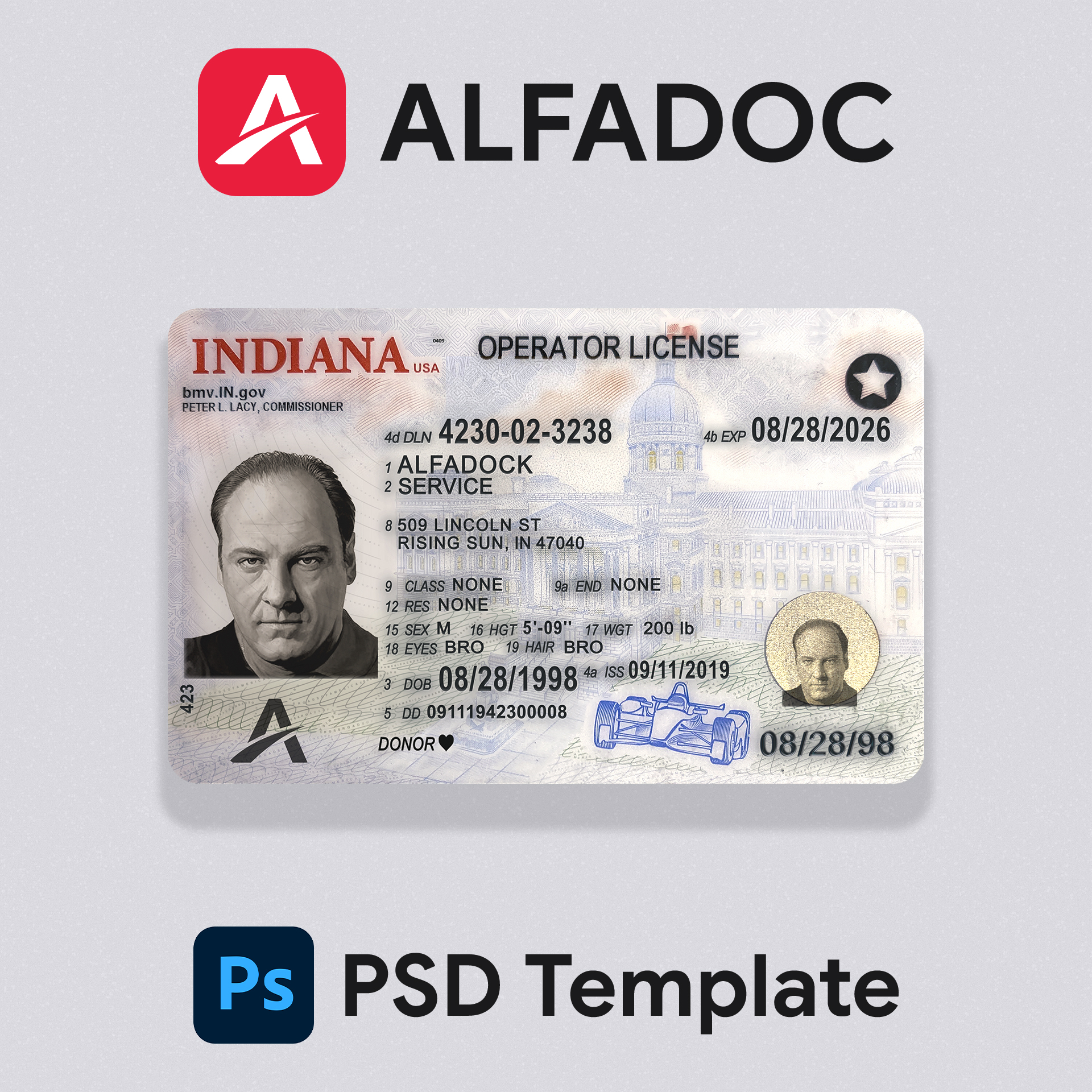 USA Indiana DL Card