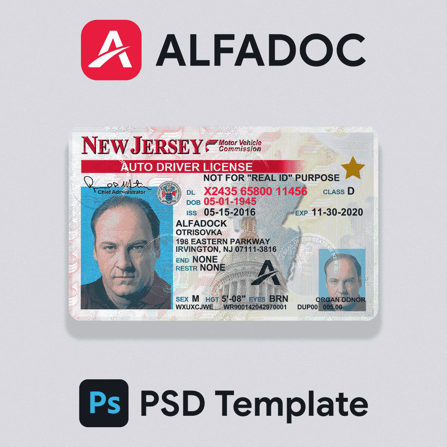 United States - New Jersey DL Card 2019+ PSD Template