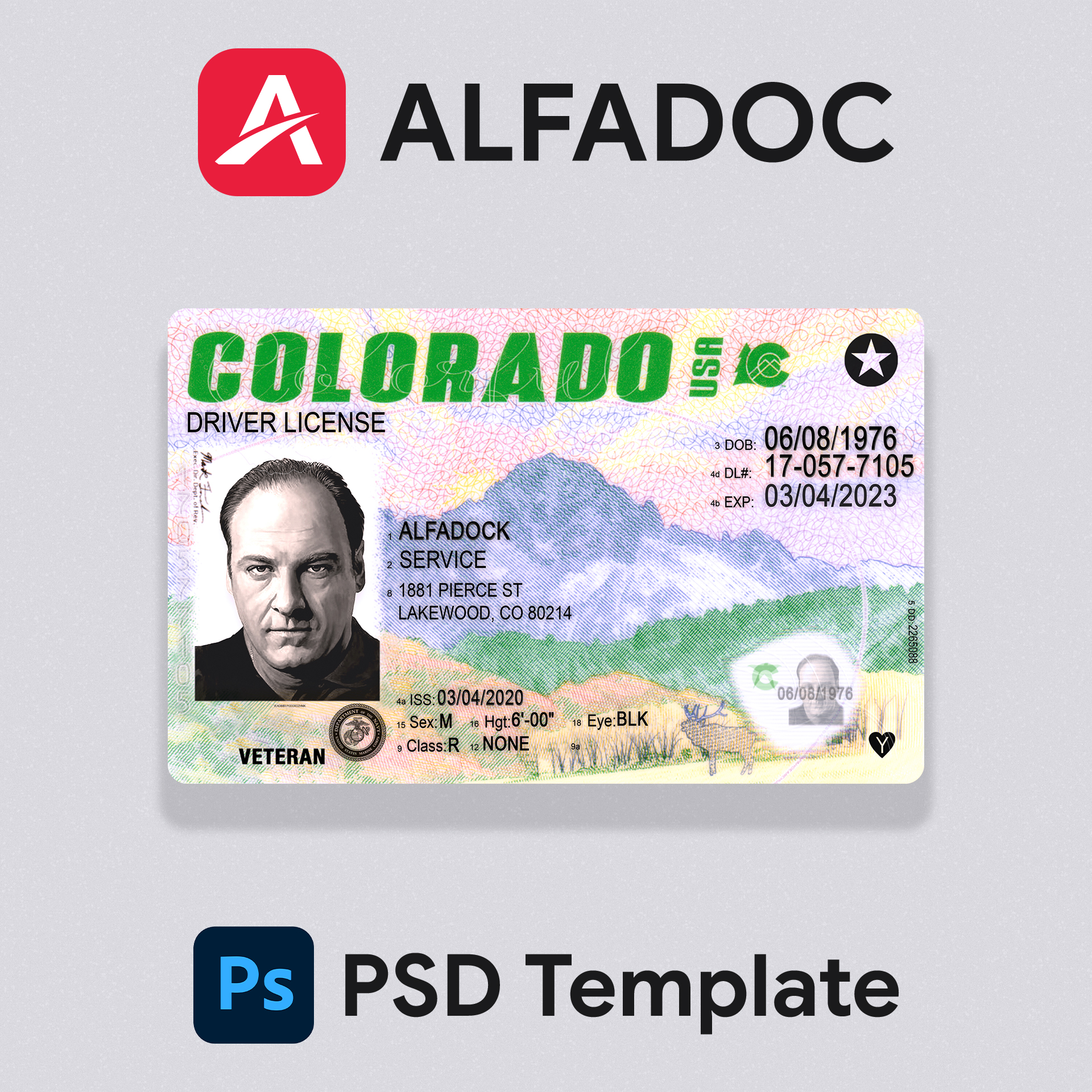 United States - Colorado DL Card  PSD Template