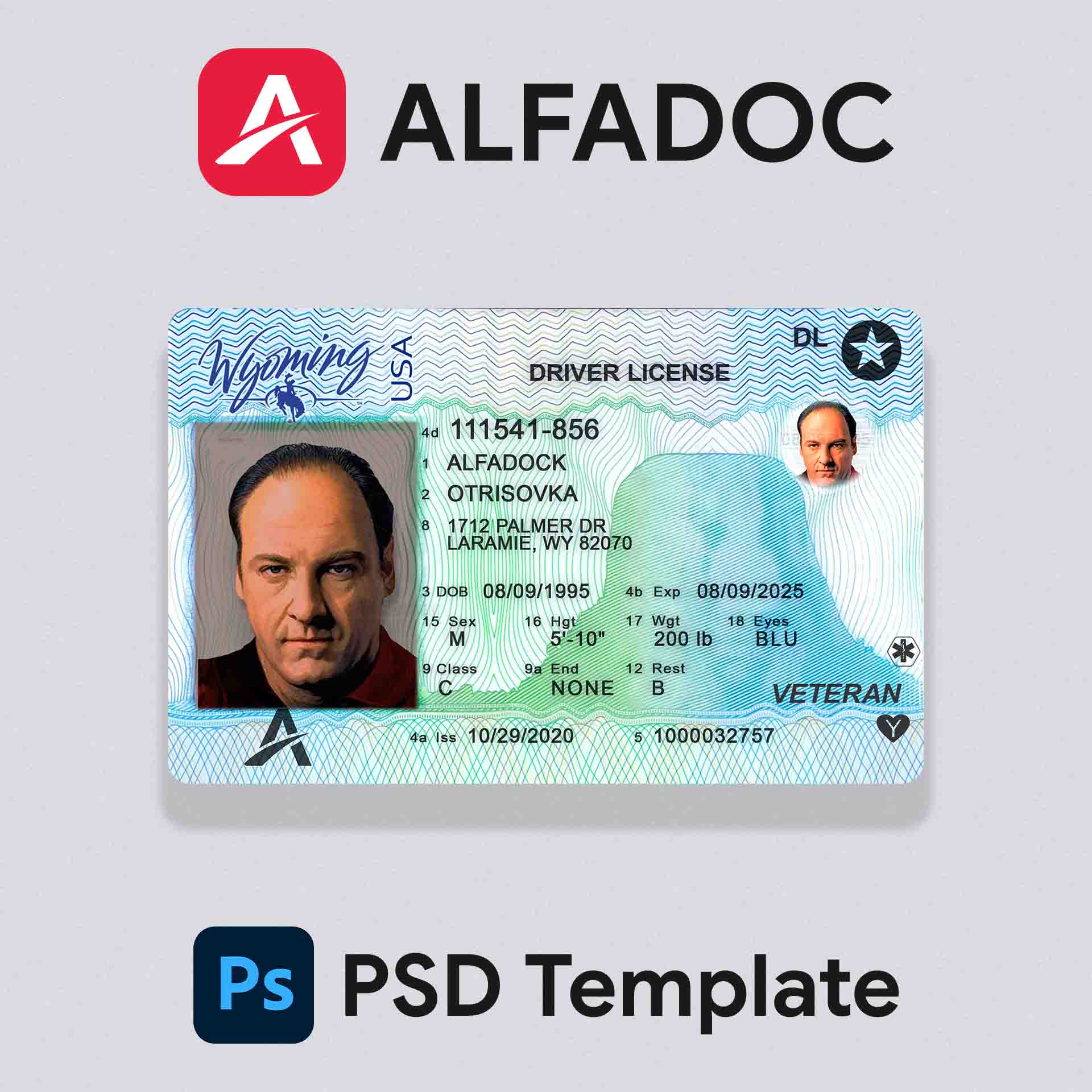 United States - Wyoming DL Card  PSD Template