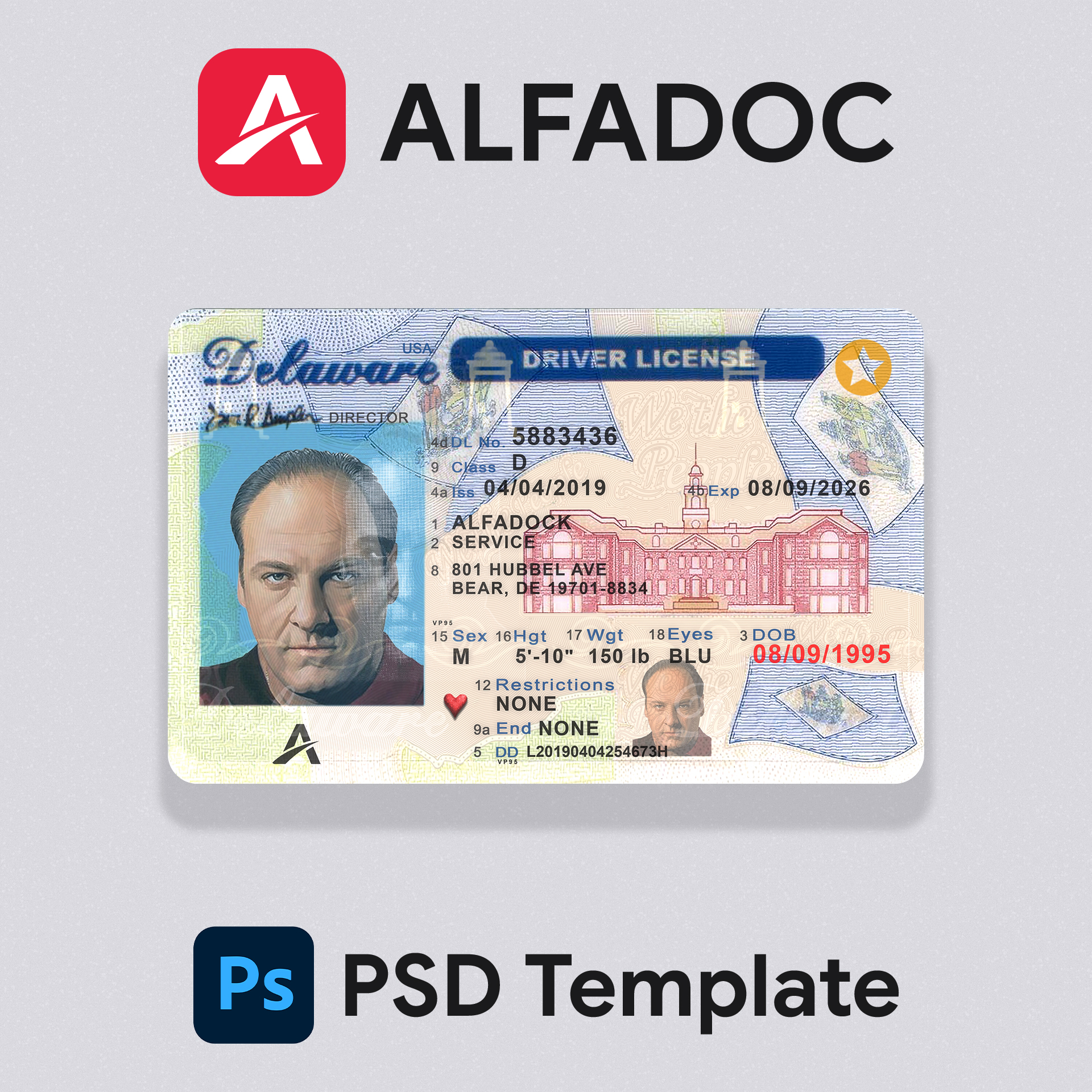 United States - Delaware DL Card  PSD Template