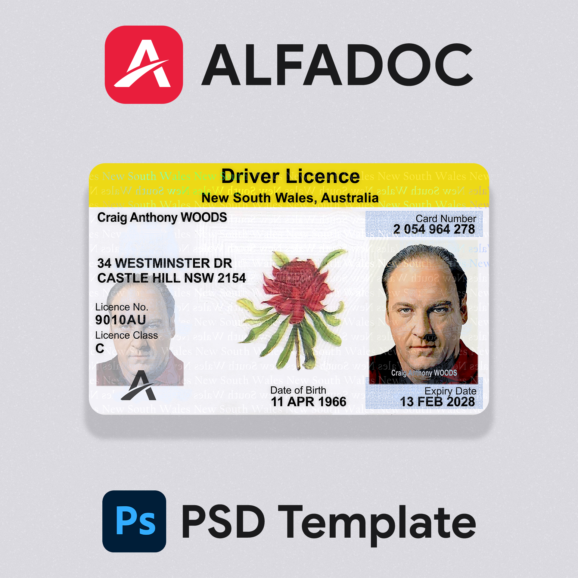 AUS_NSW_DL Card Template – Editable PSD Format