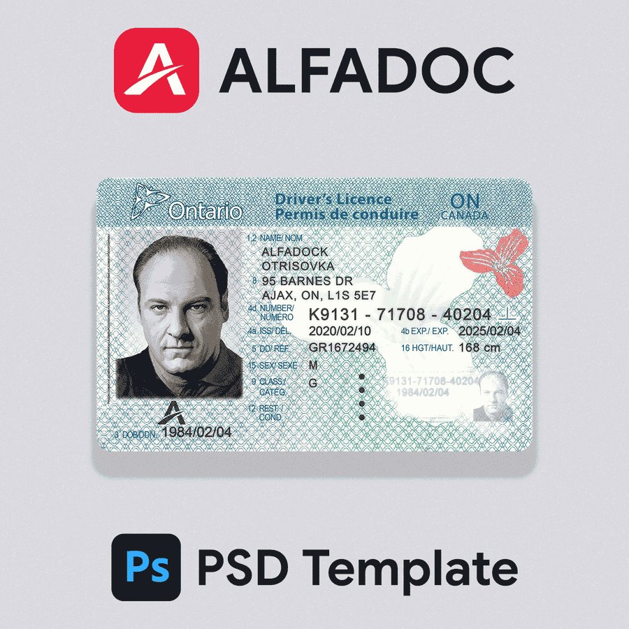 Canada - Ontario DL Card PSD Template