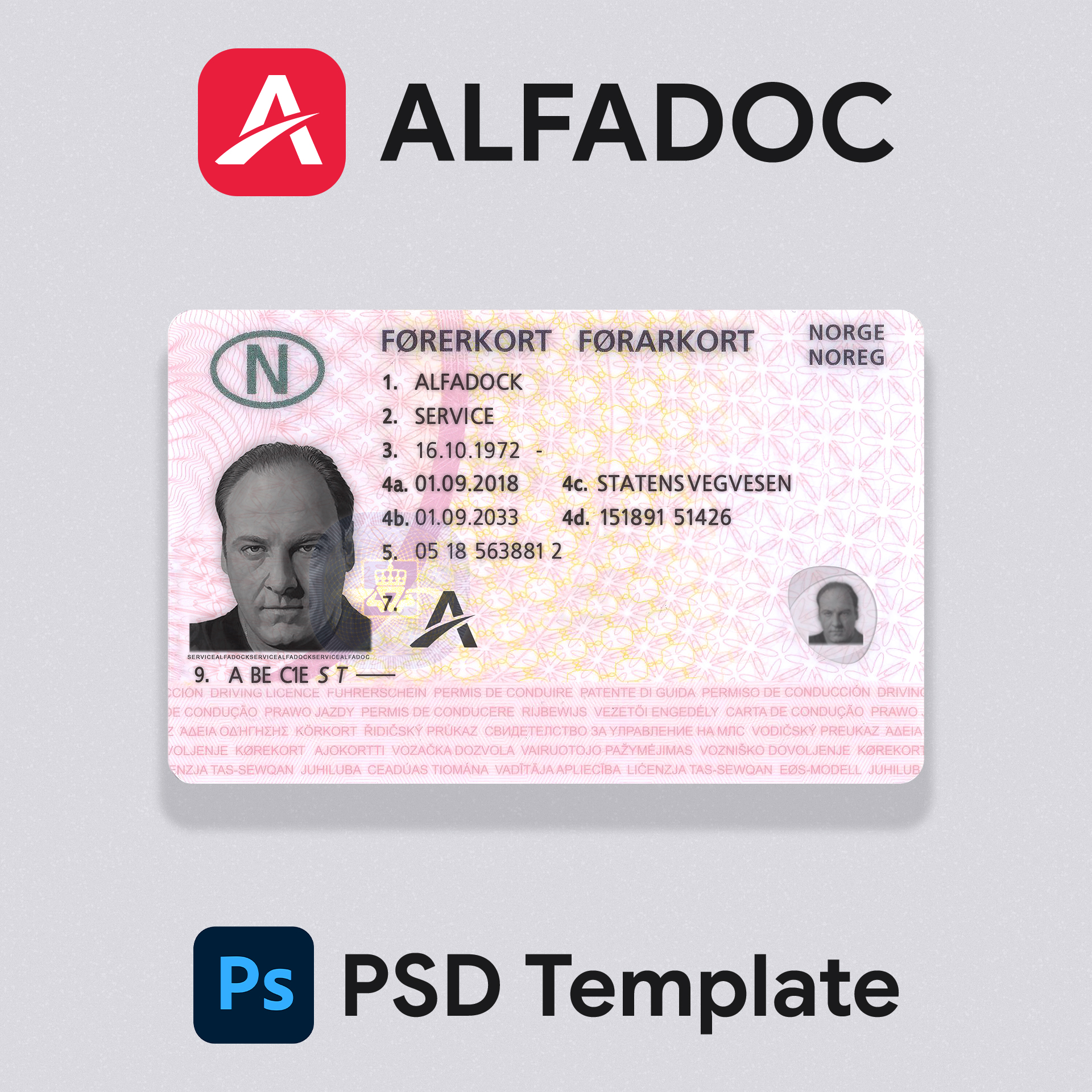 Norway DL Card 2018+