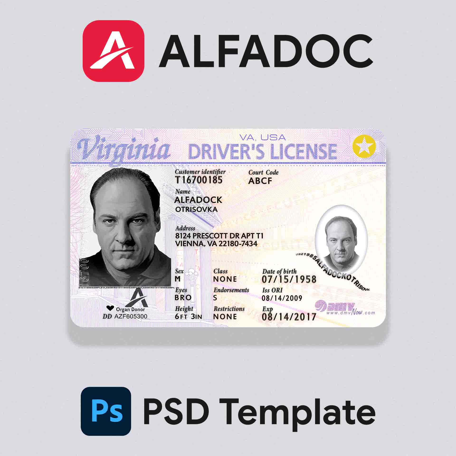 United States - Virginia  DL Card  PSD Template