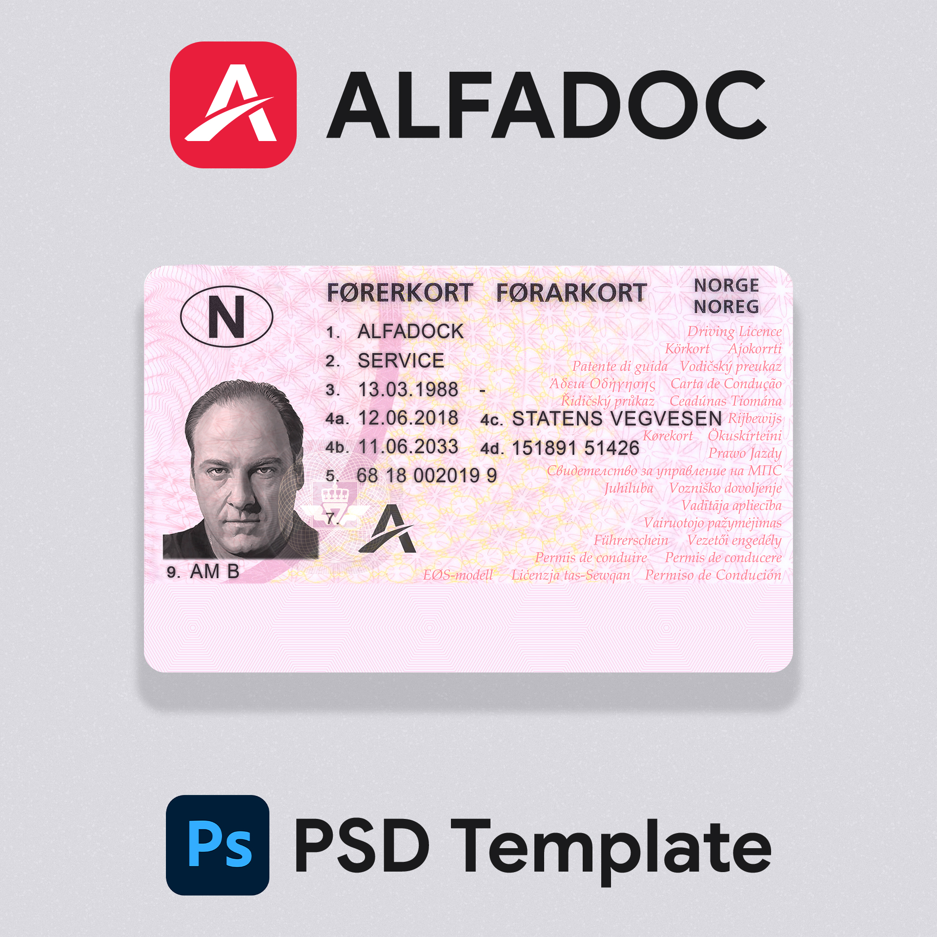 Norway DL Card 2013+