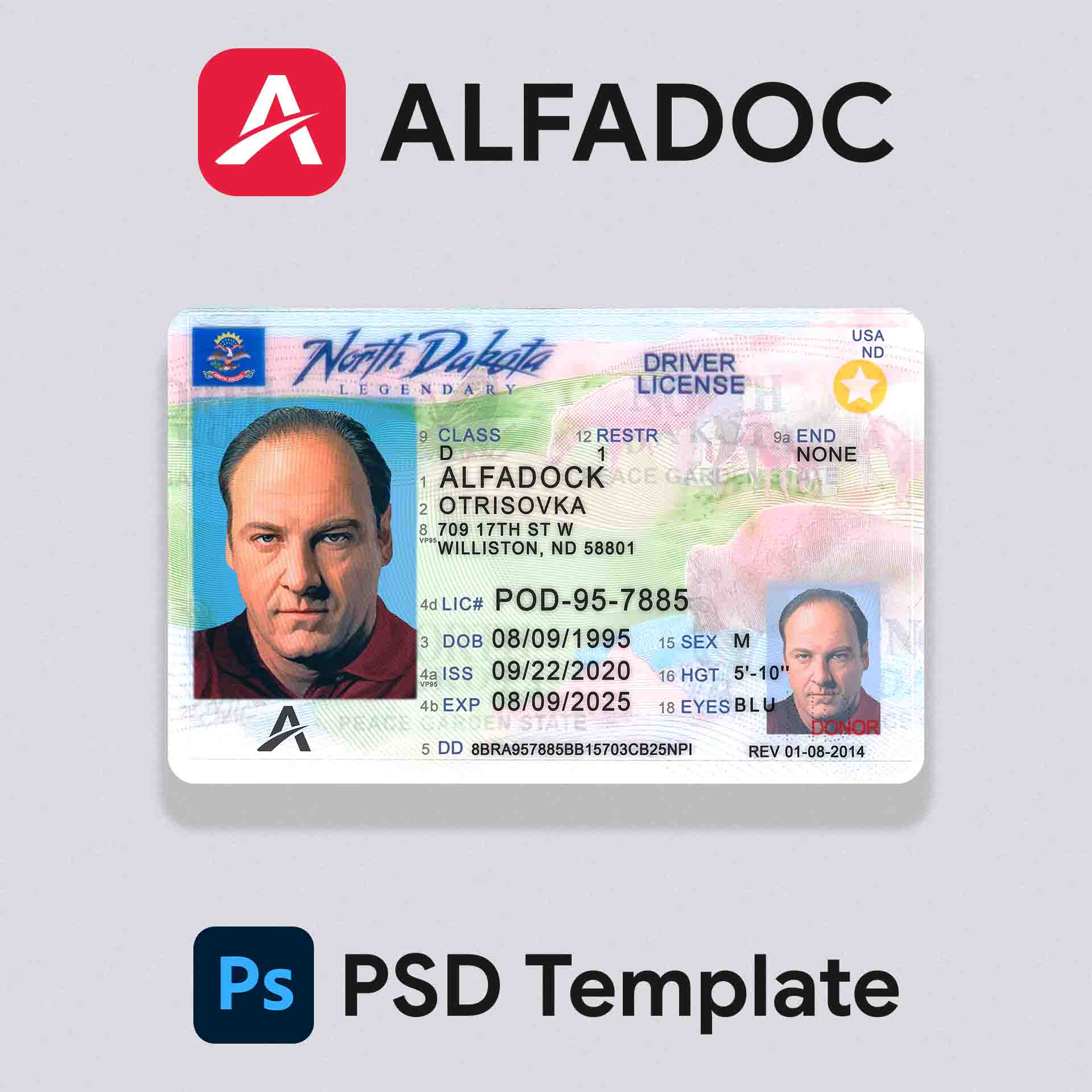 United States - North Dakota DL Card 2014+ PSD Template