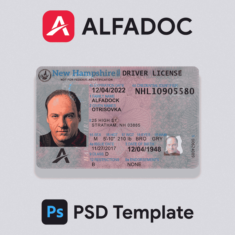 United States - New Hampshire DL Card 2017+ PSD Template