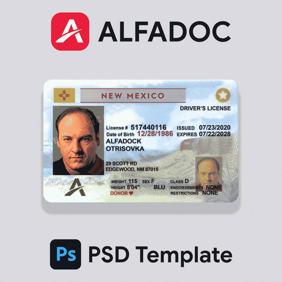 United States - New Mexico DL Card 2019+ PSD Template