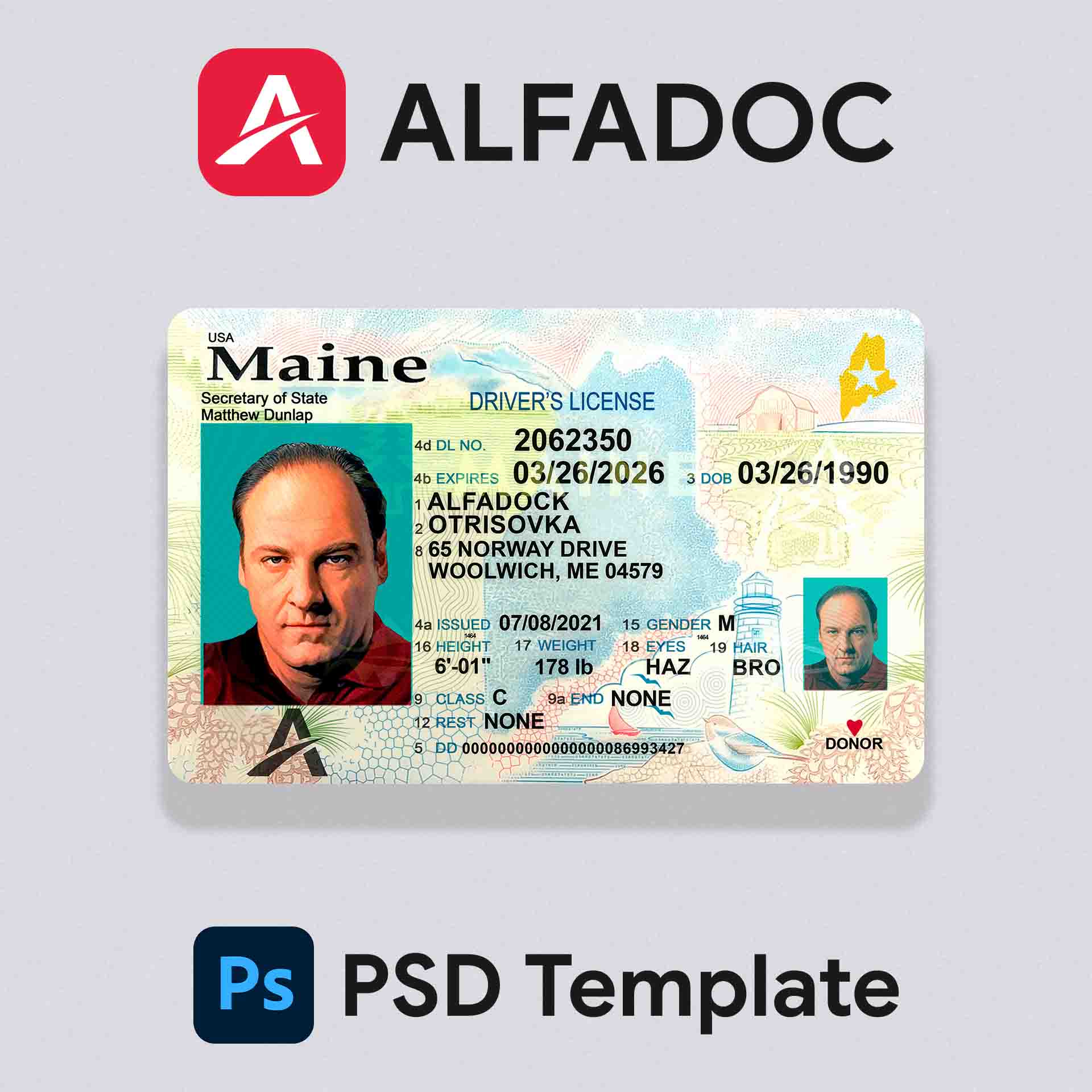 United States - Maine DL Card 2019+ PSD Template