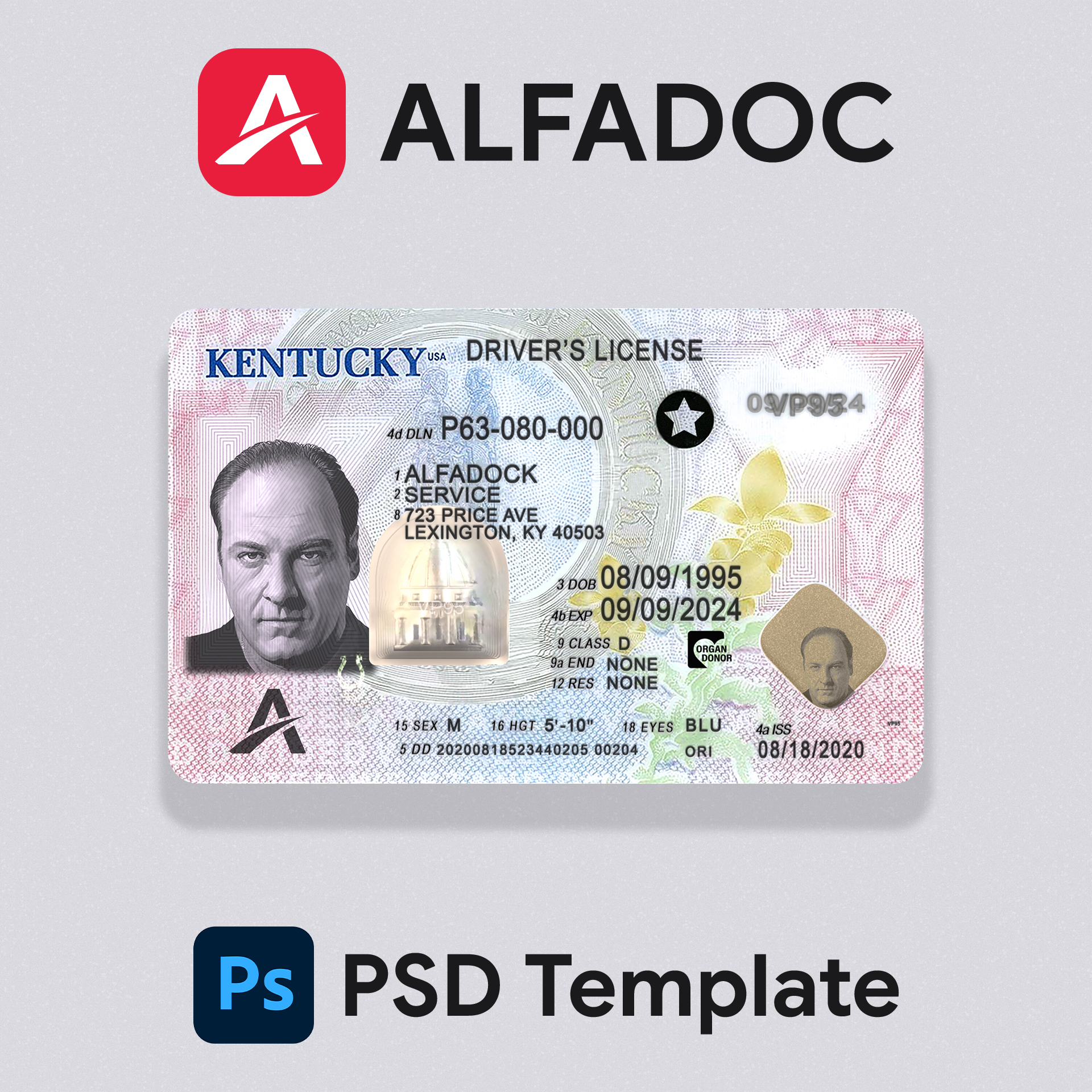 USA Kentucky DL Card
