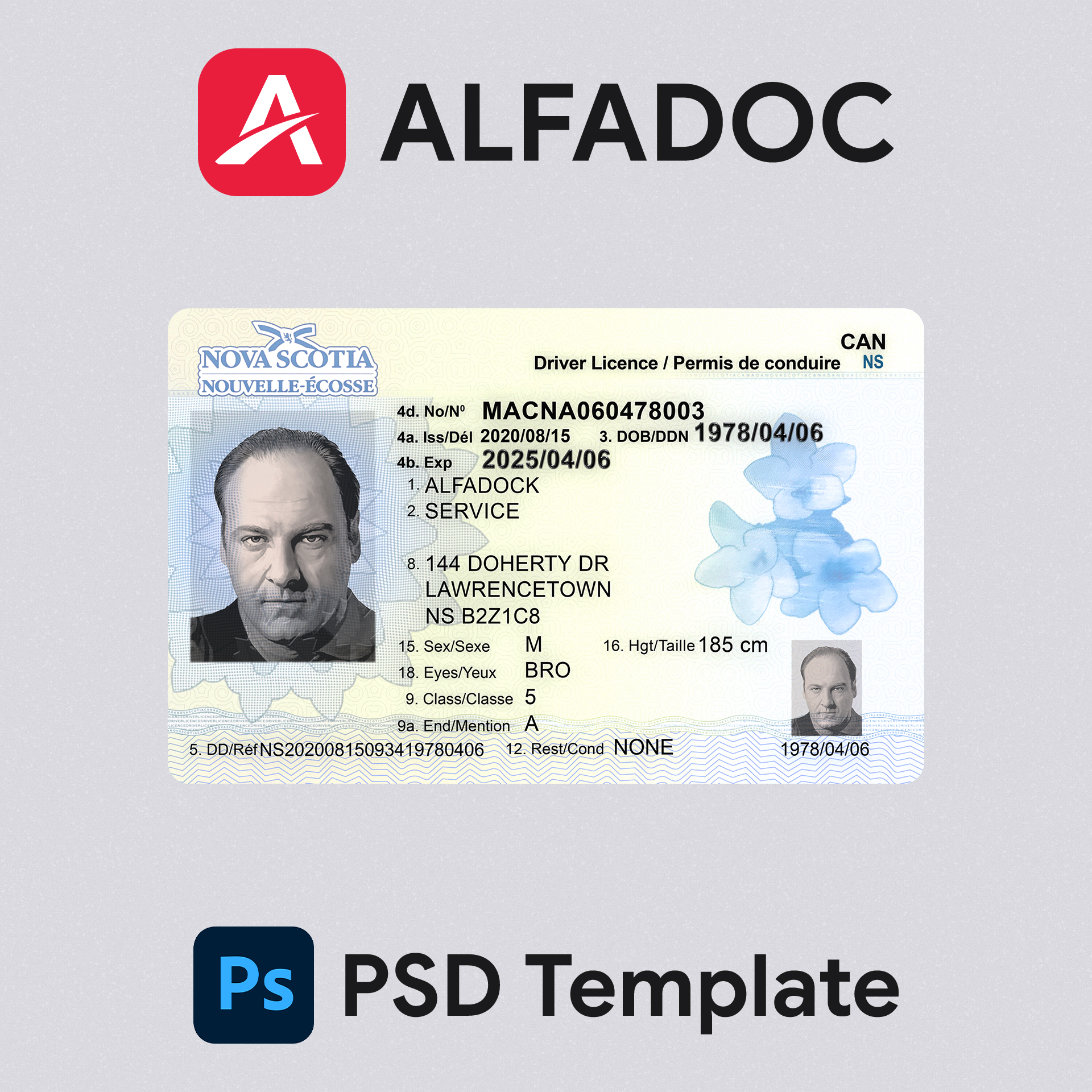 Canada Newfoundland and Labrador NL DL Card