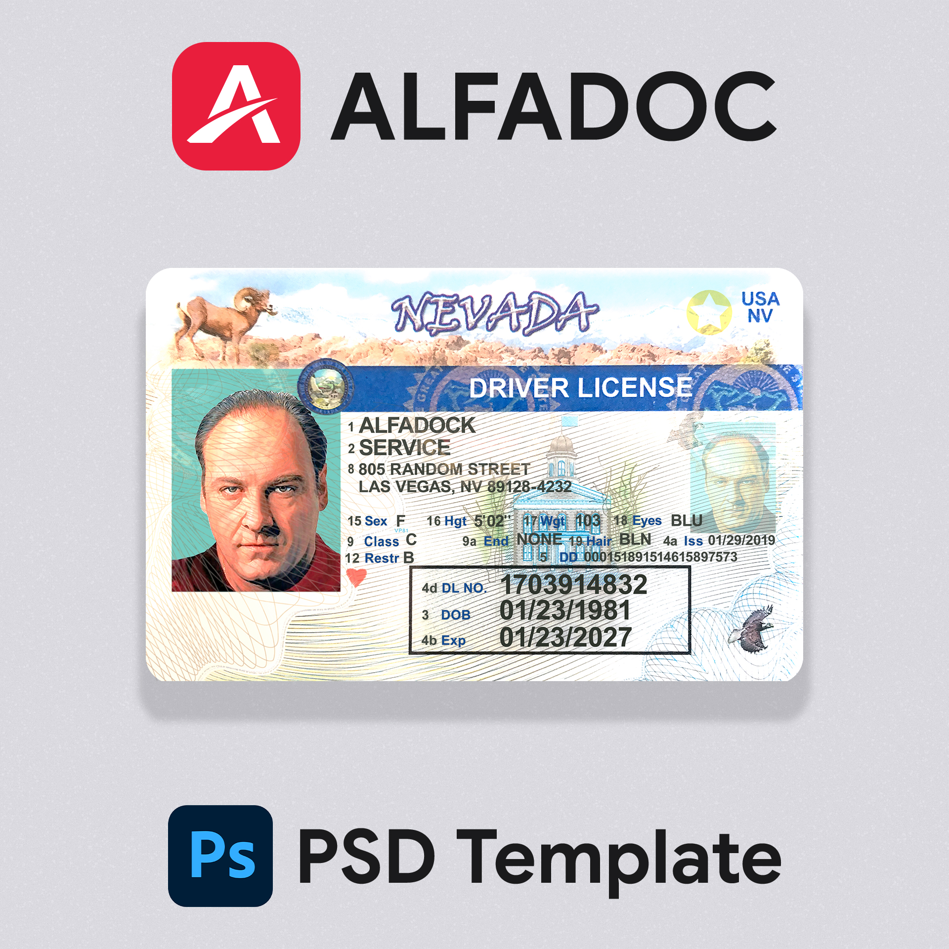 USA  Nevada DL Card
