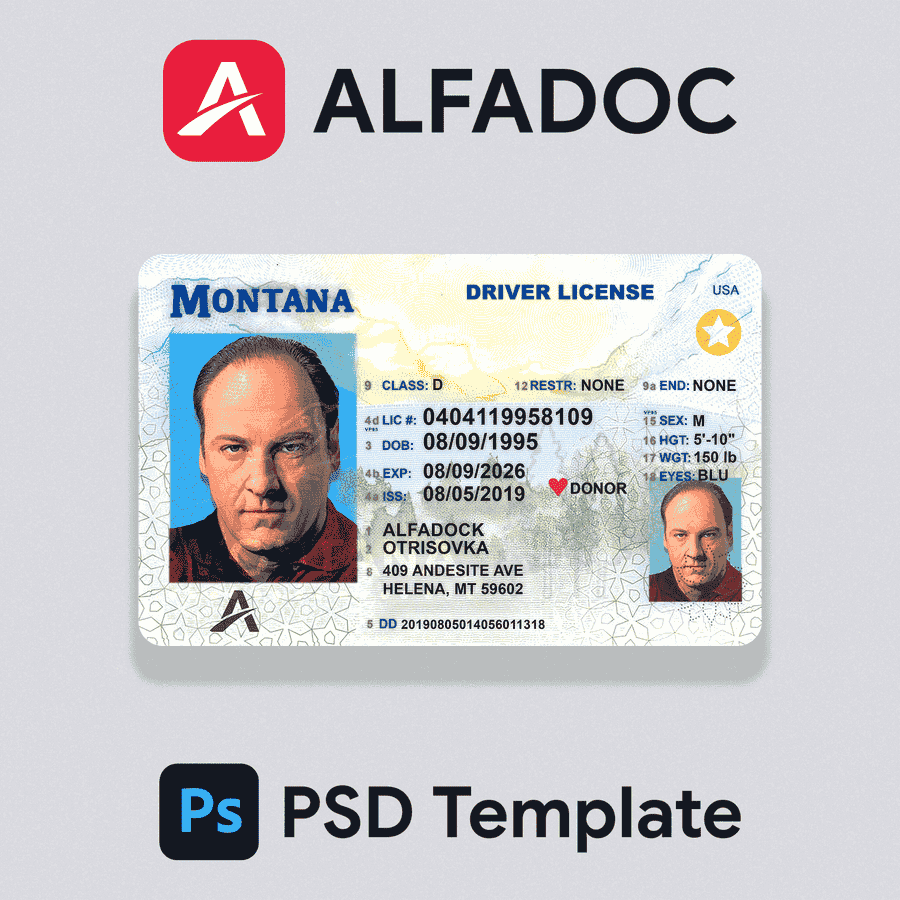 United States - Montana DL Card 2015+ PSD Template