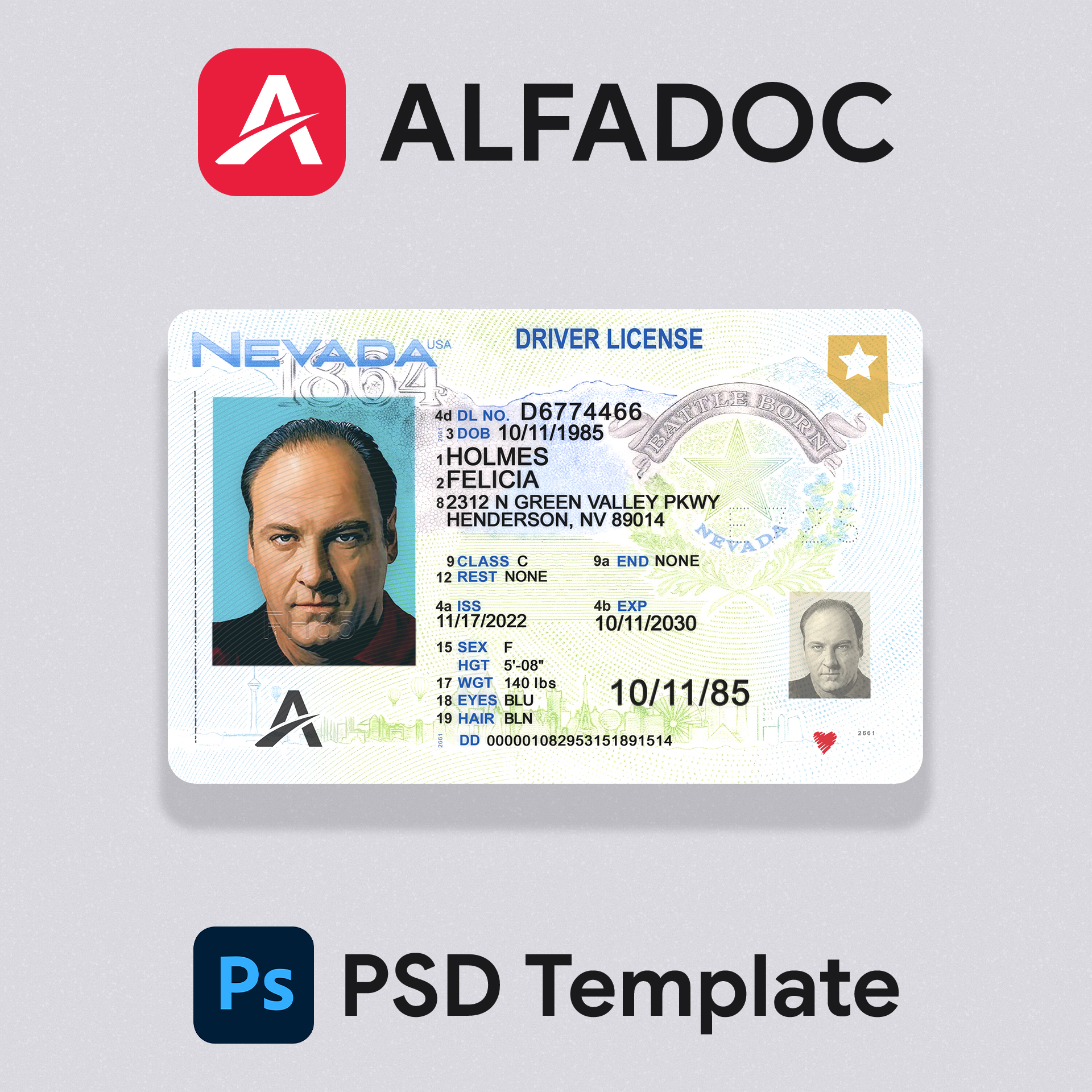 United States - Nevada DL Card  PSD Template