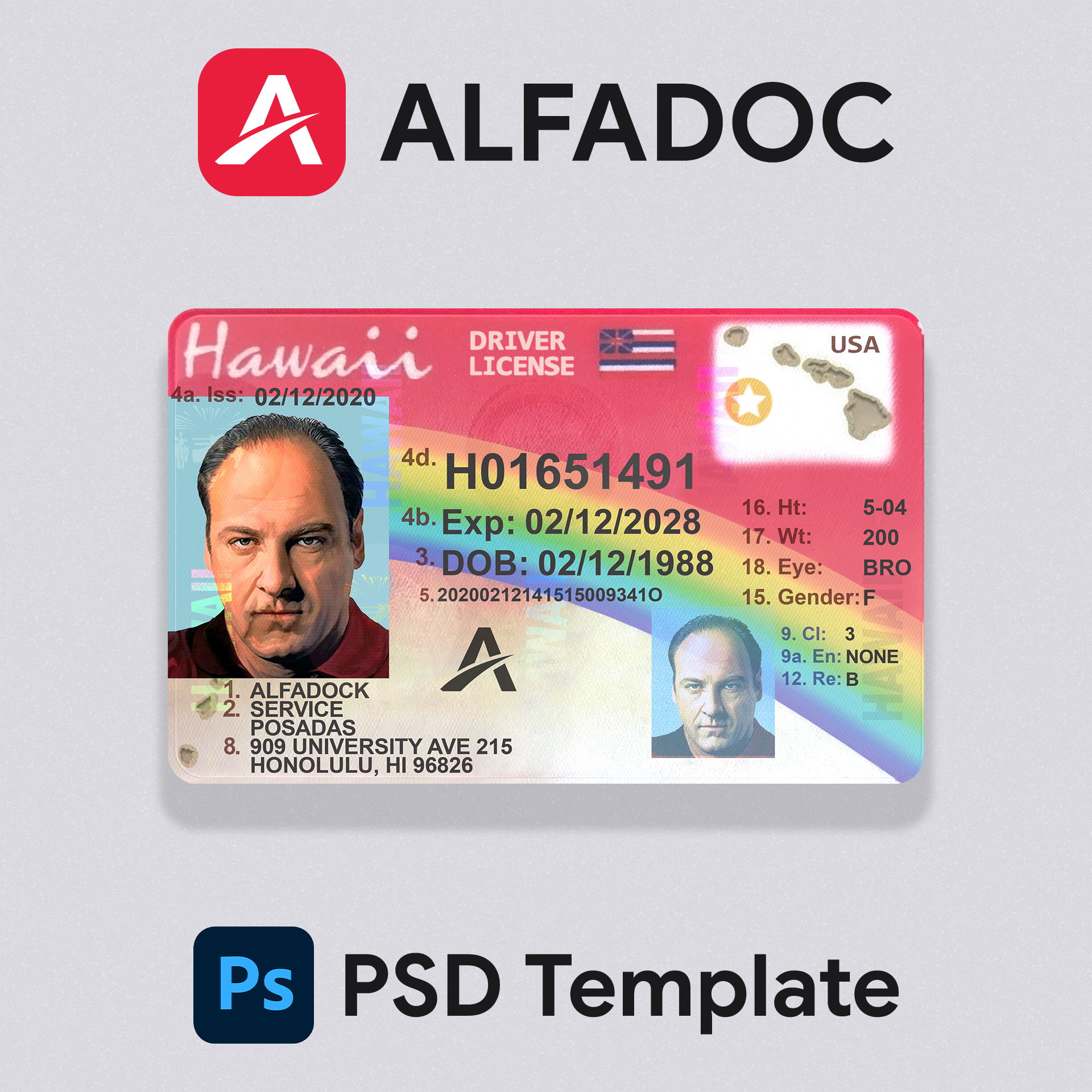 USA Hawaii DL Card