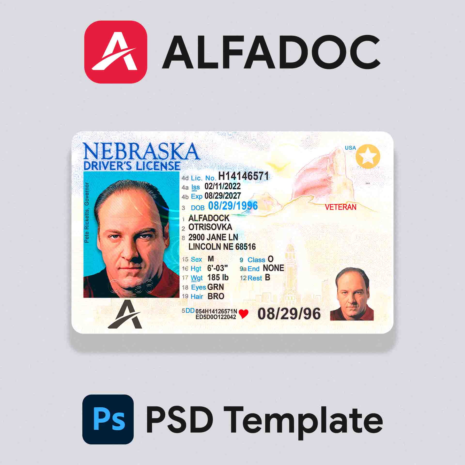 United States - Nebraska DL Card 2021+ PSD Template