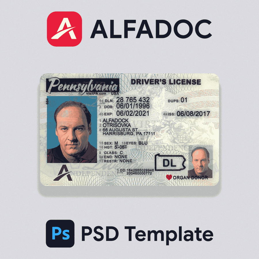 United States - Pennsylvania DL Card PSD Template
