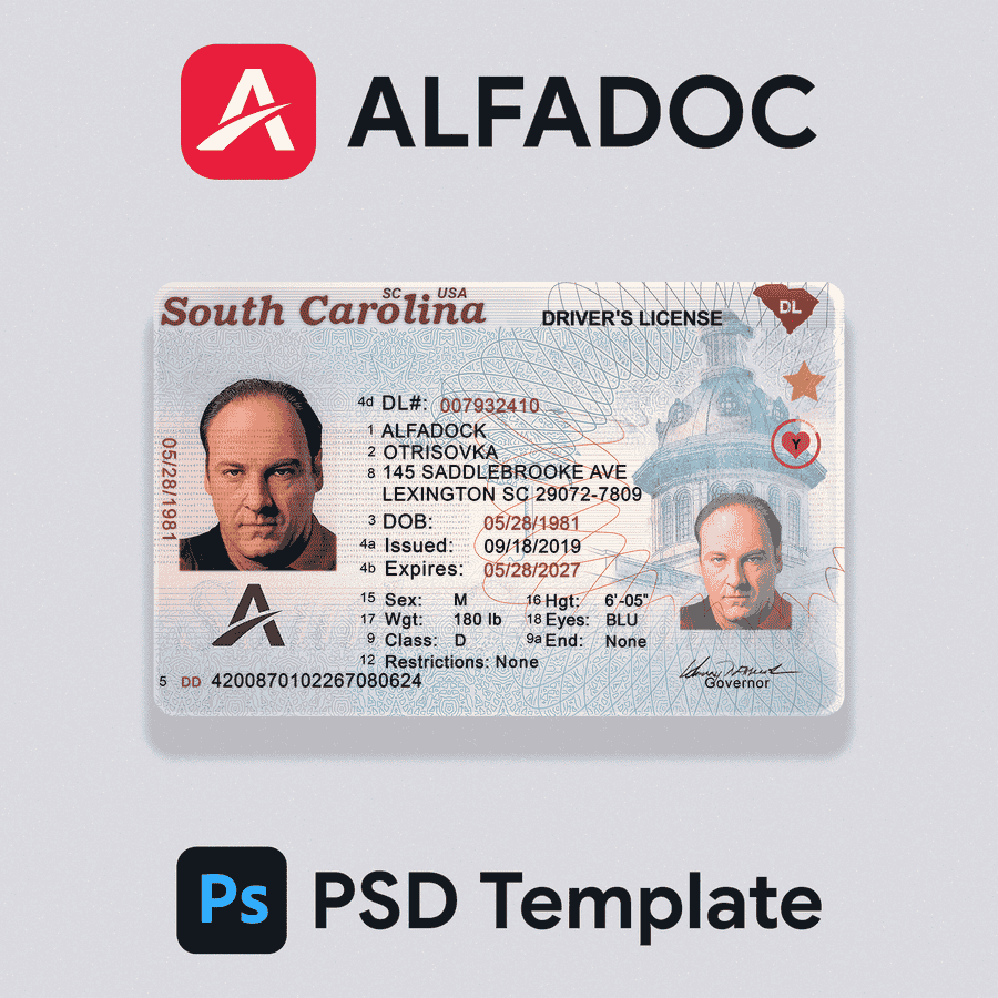 United States - South Carolina DL Card 2018+  PSD Template