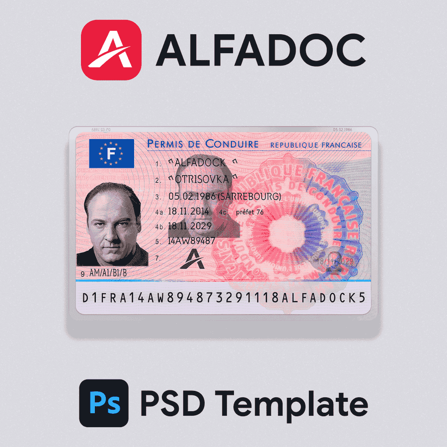 France  DL Card 2013+ PSD Template