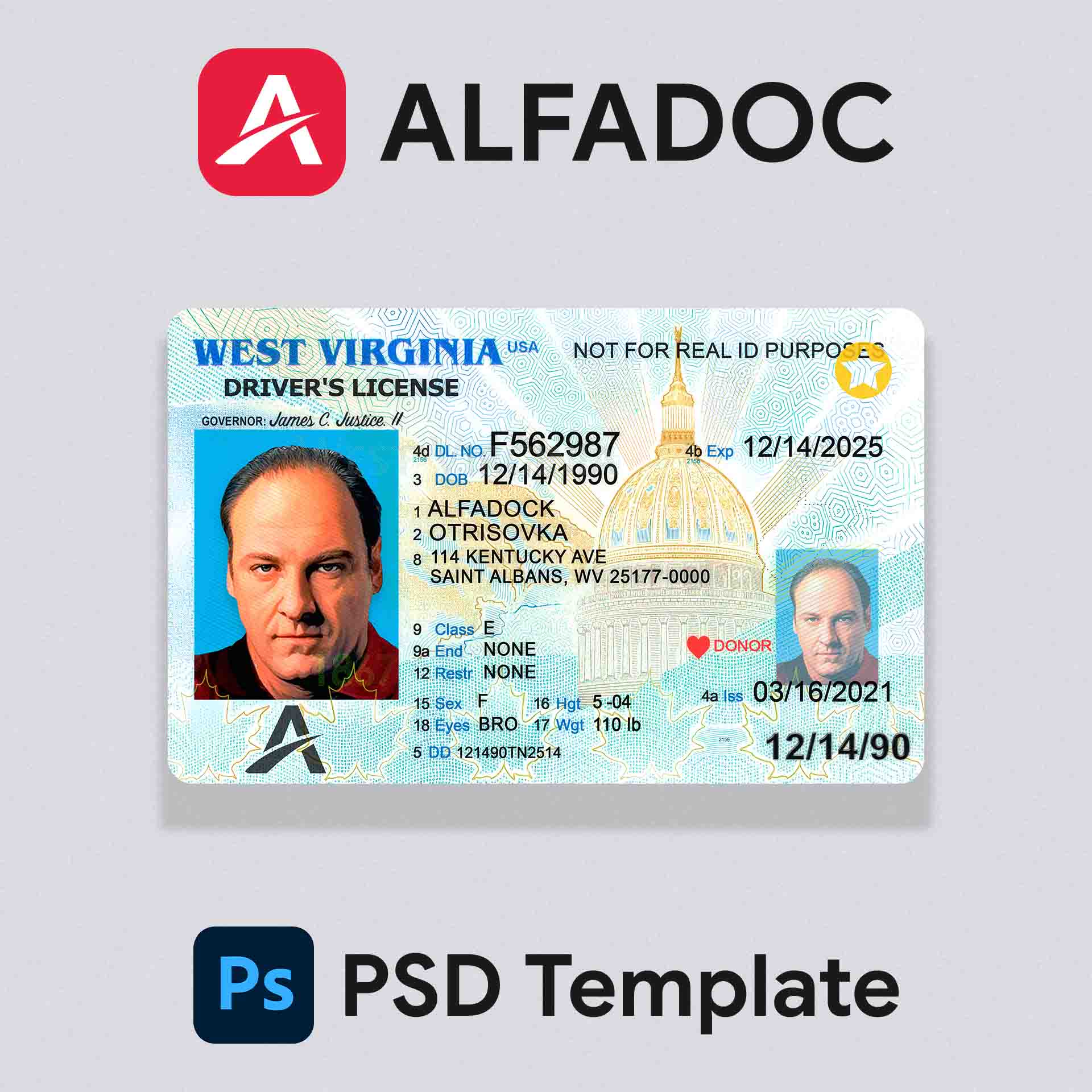 United States - West Virginia DL Card 2019+  PSD Template