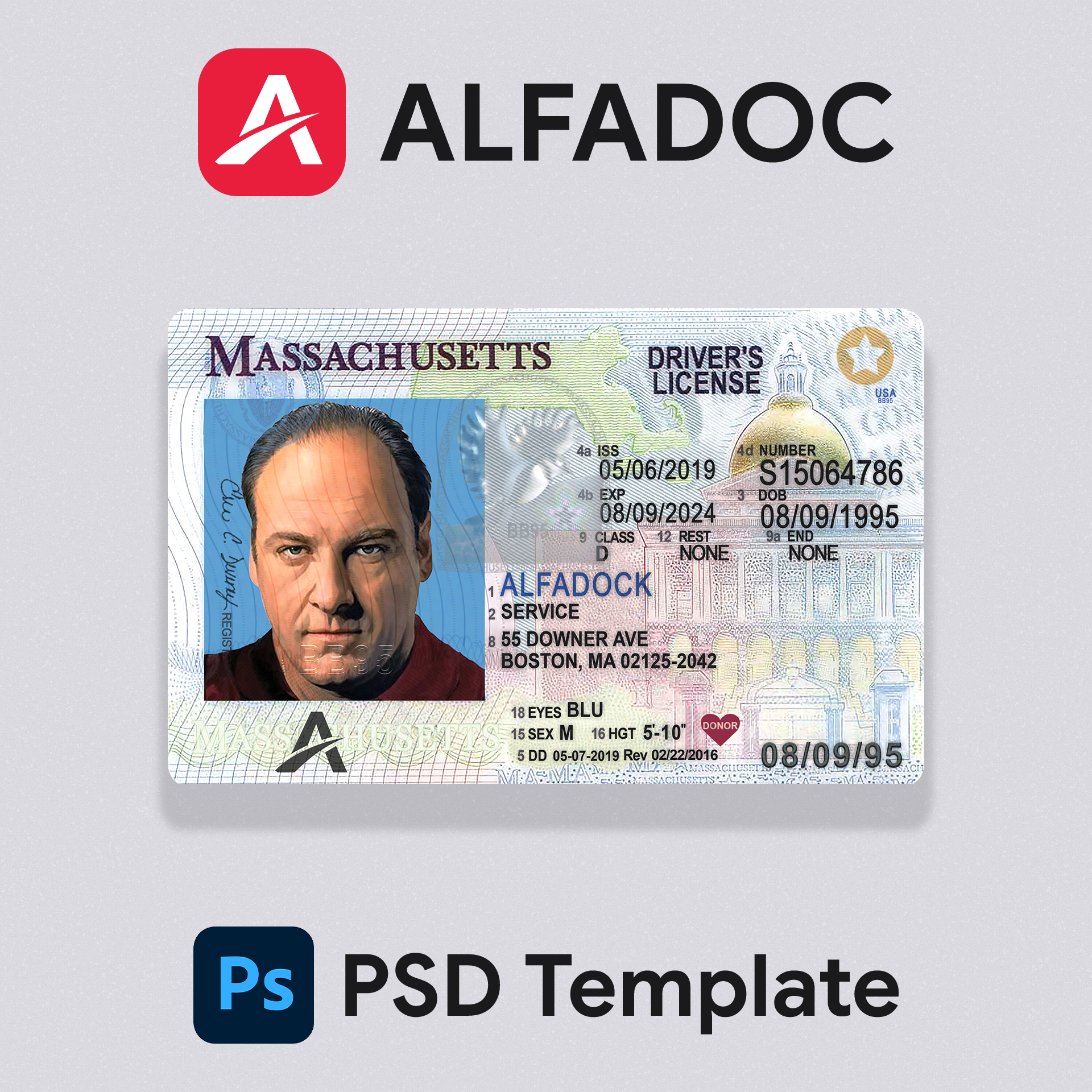 USA Massachusetts DL Card