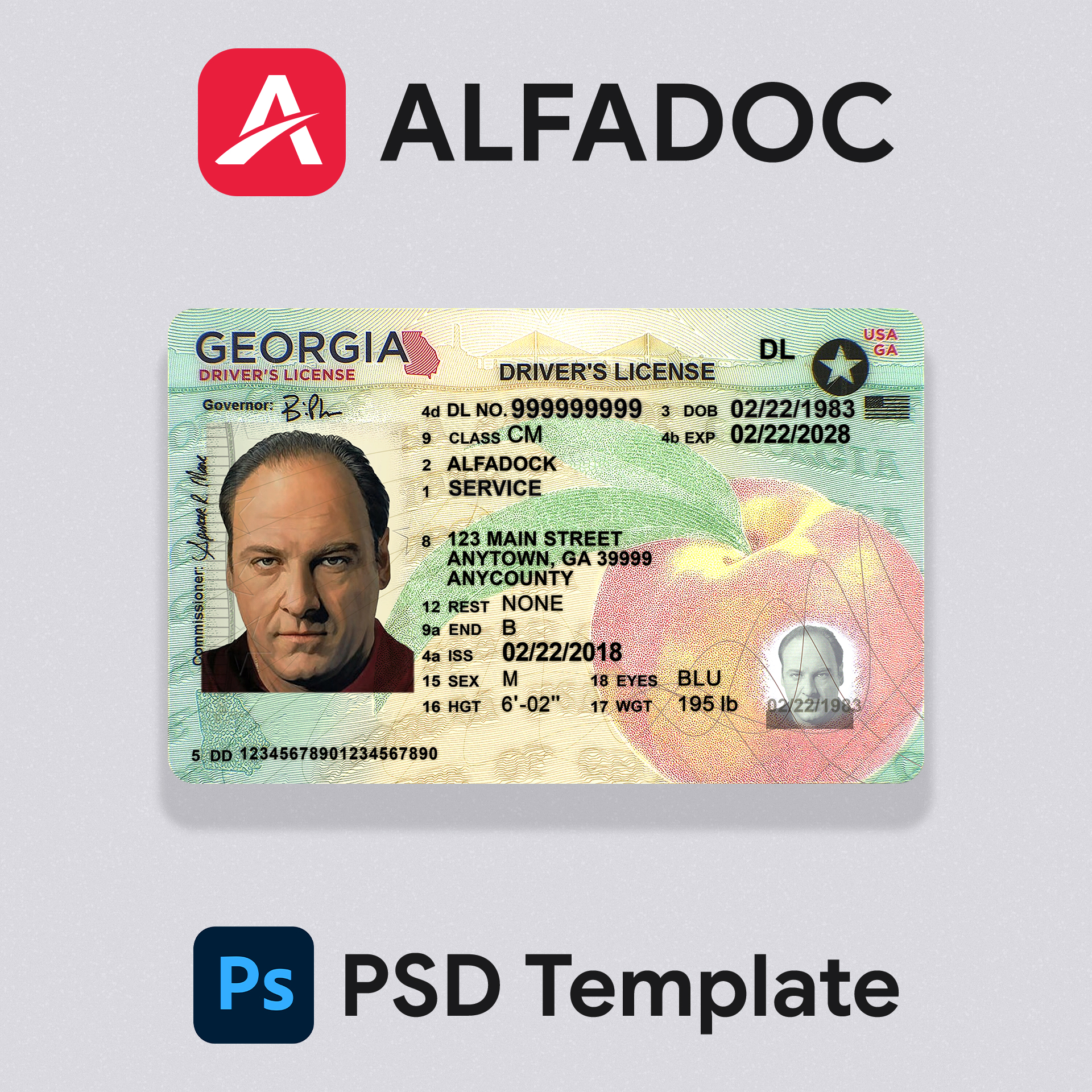 United States - Georgia DL Card  PSD Template