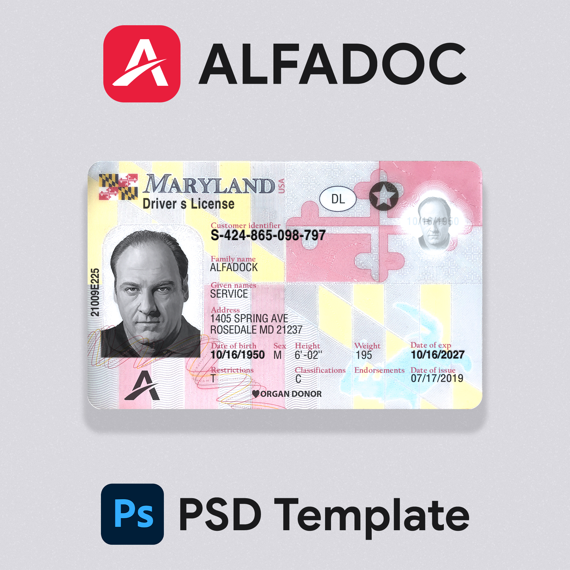 USA Maryland DL Card